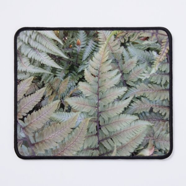 Item preview, Silver outdoor ferns designed and sold by jbb1955.