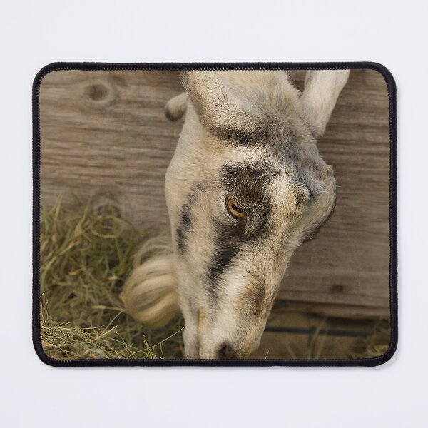 Item preview, Grand Lady Goat designed and sold by Blue Horse Photo Magic.