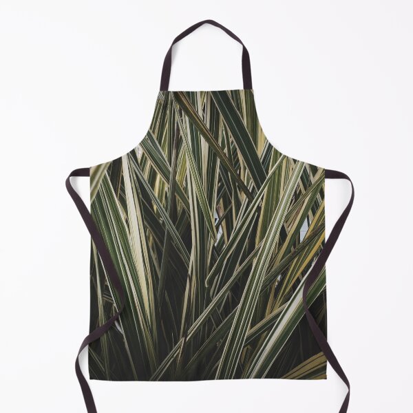 Item preview, Stems of ornamental grass emerging from the darkness designed and sold by PavlinaBFDesign.