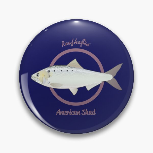 Item preview, American Shad designed and sold by KaplanCrypto.