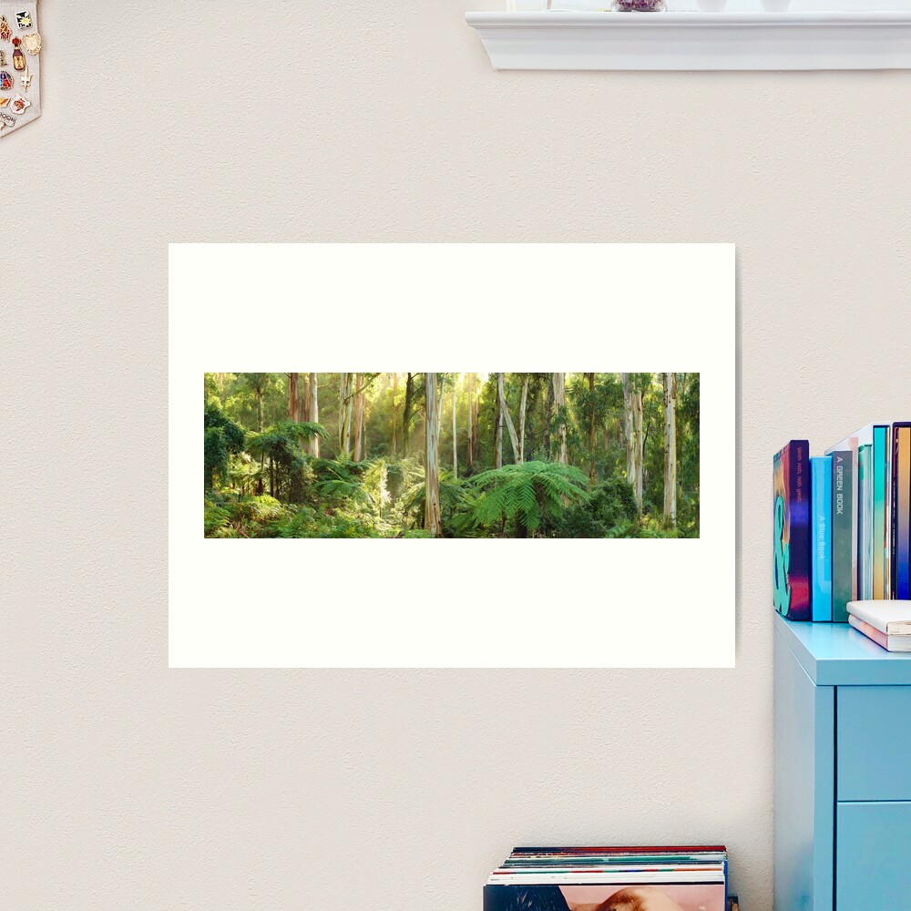 Dawn Lights The Dandenongs, Australia Art Print