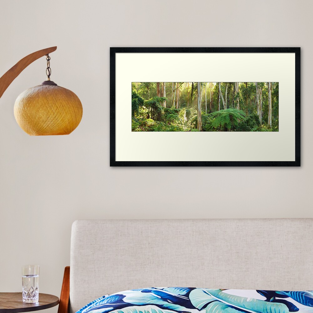 Dawn Lights The Dandenongs, Australia Framed Art Print