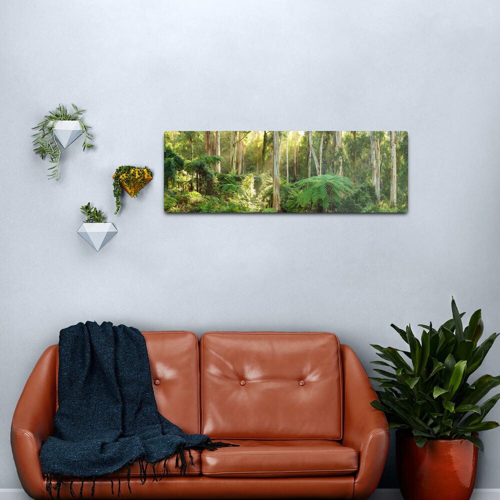 Dawn Lights The Dandenongs, Australia Metal Print