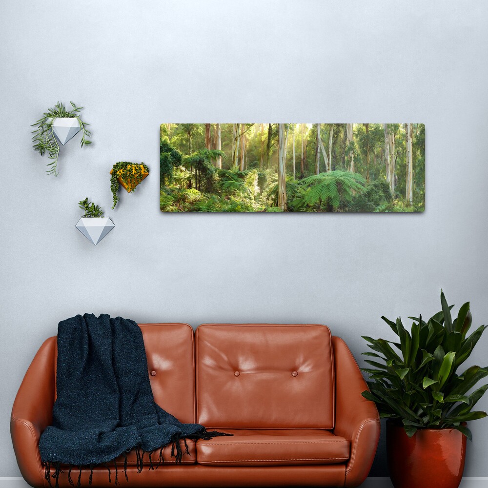 Dawn Lights The Dandenongs, Australia Metal Print