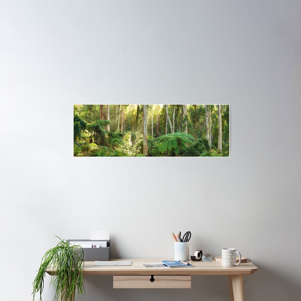 Dawn Lights The Dandenongs, Australia Poster
