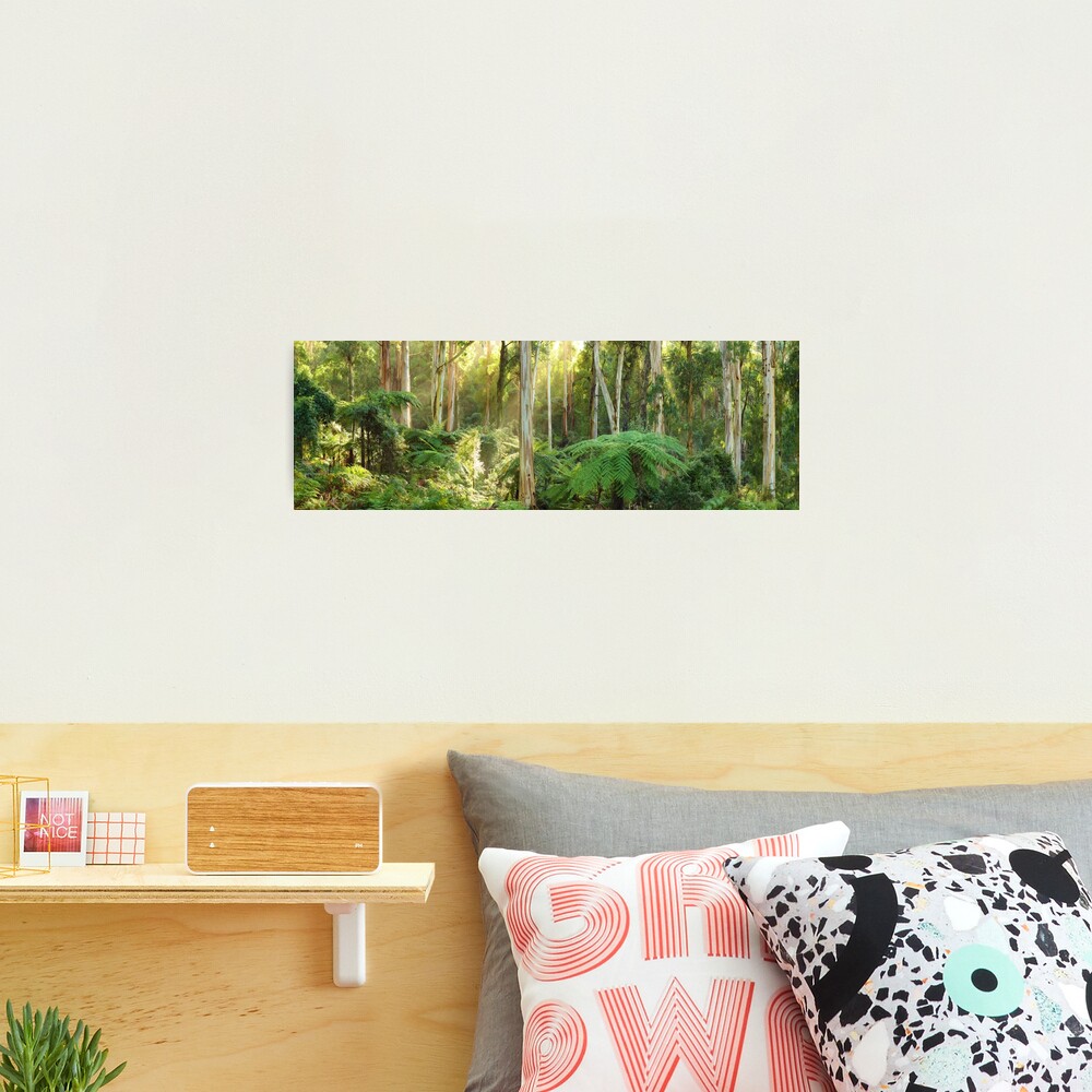 Dawn Lights The Dandenongs, Australia Photographic Print