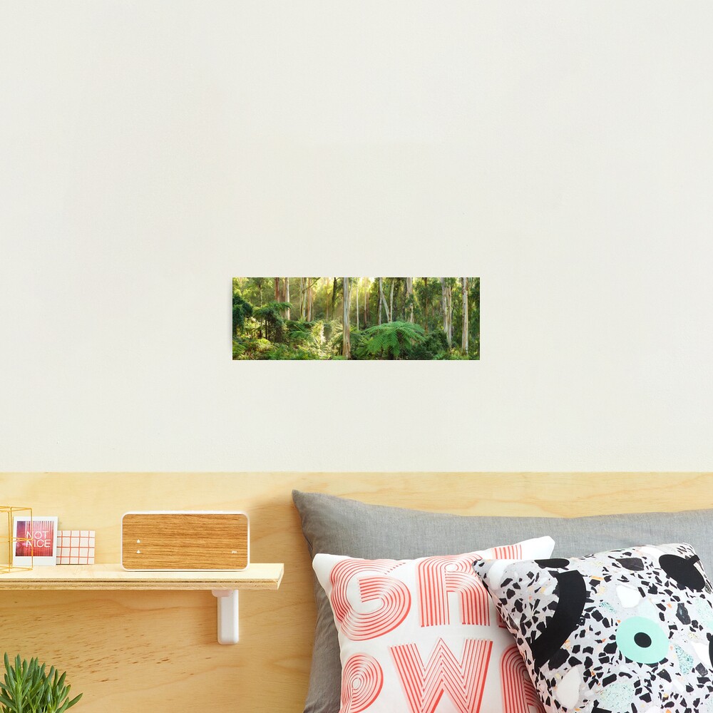 Dawn Lights The Dandenongs, Australia Photographic Print