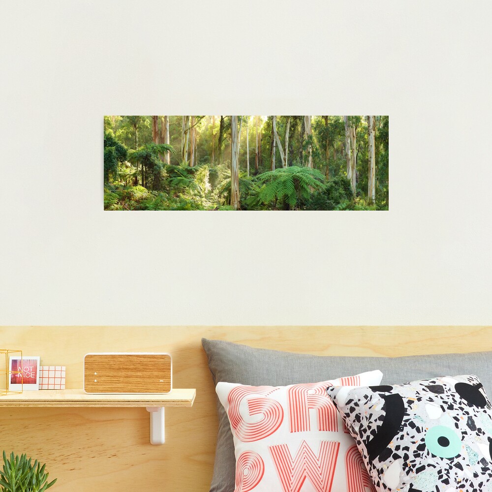 Dawn Lights The Dandenongs, Australia Photographic Print