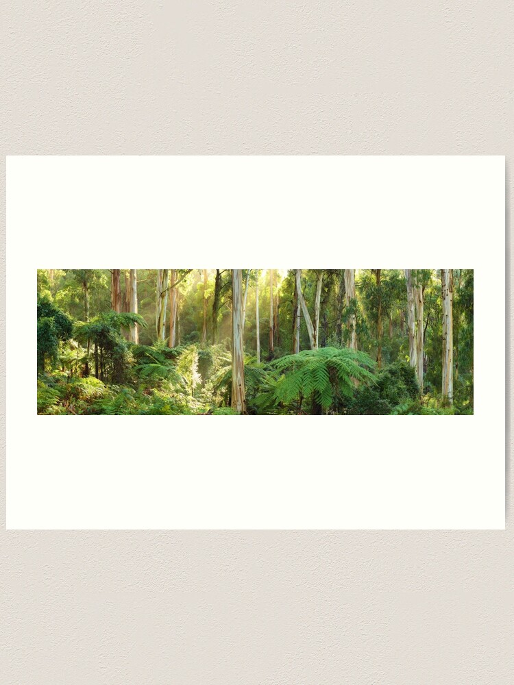 Alternate view of Dawn Lights The Dandenongs, Australia Art Print