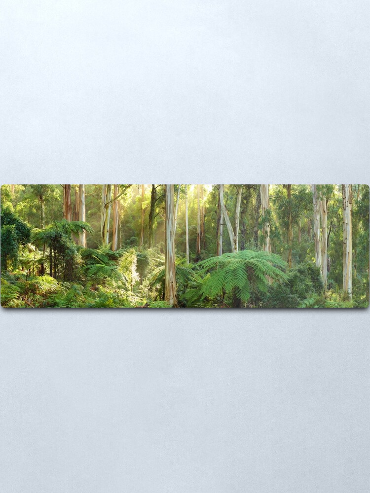 Alternate view of Dawn Lights The Dandenongs, Australia Metal Print