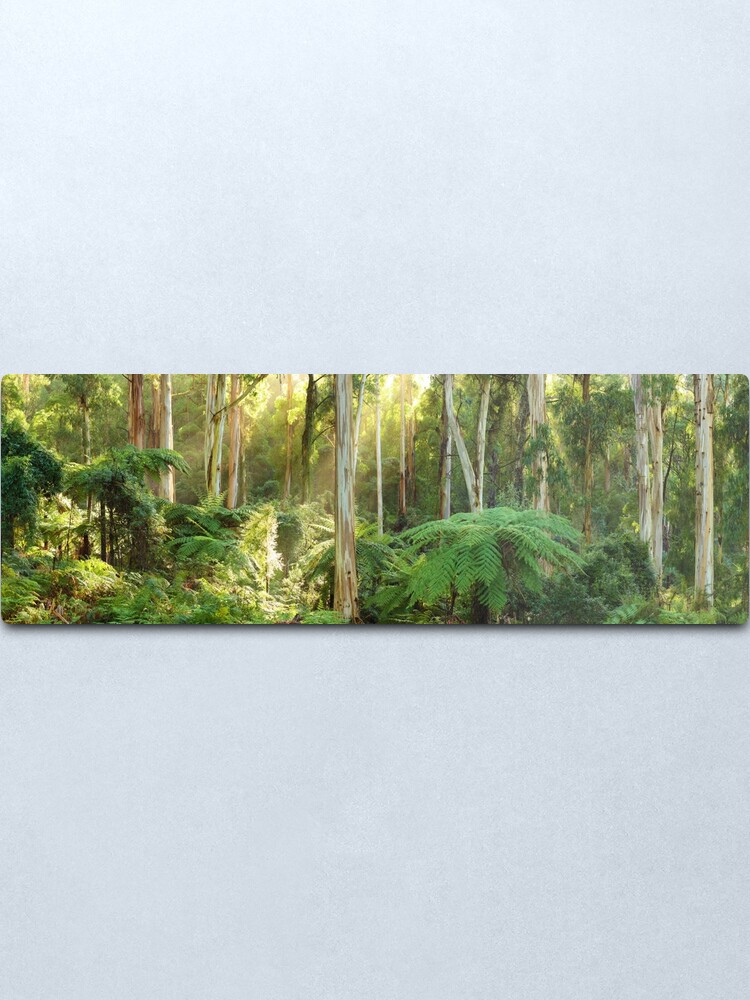 Alternate view of Dawn Lights The Dandenongs, Australia Metal Print