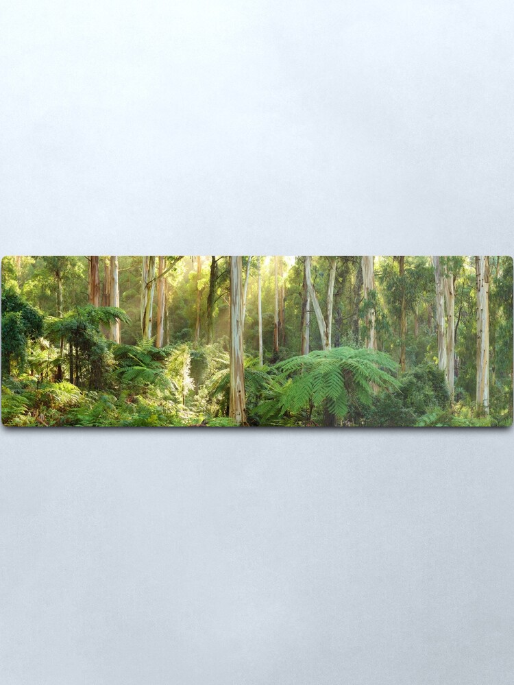 Alternate view of Dawn Lights The Dandenongs, Australia Metal Print