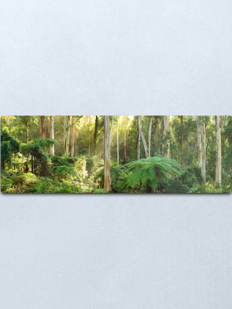 Alternate view of Dawn Lights The Dandenongs, Australia Metal Print