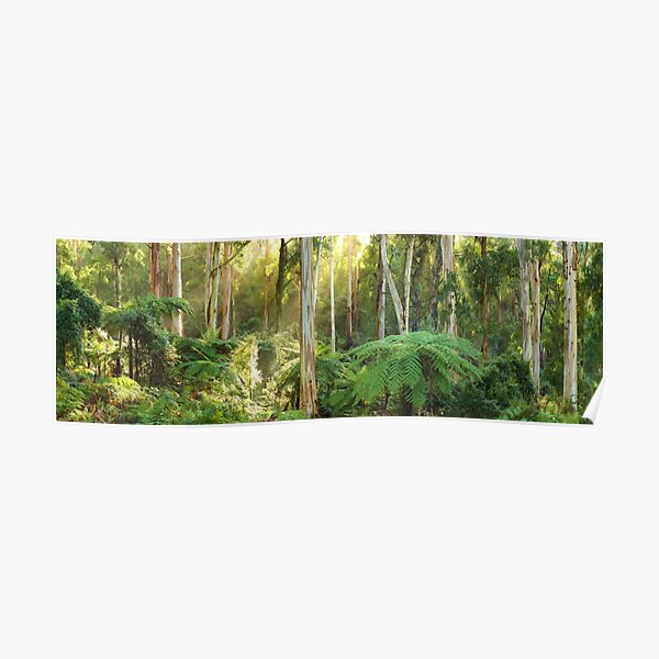 Dawn Lights The Dandenongs, Australia Poster