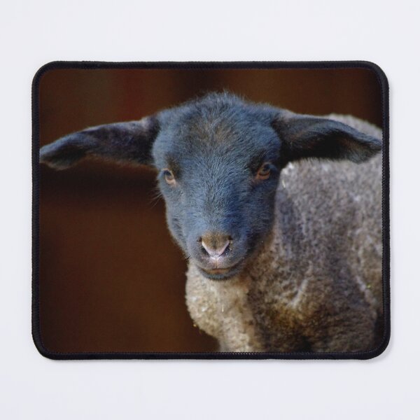 Item preview, 'lil button designed and sold by Penny Kittel.