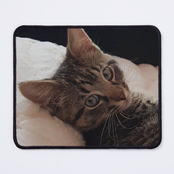 Item preview, Tabby Kitten Close-up designed and sold by WhiteSoftPetals.