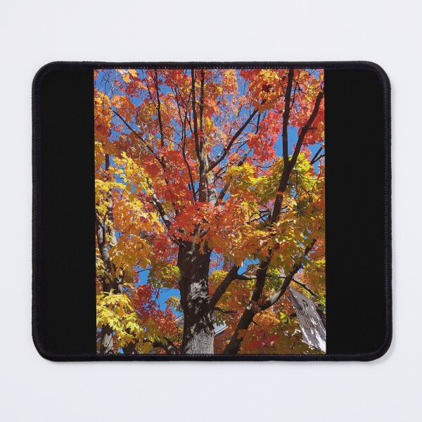 Item preview, Autumn Leaves Change of Color designed and sold by WhiteSoftPetals.