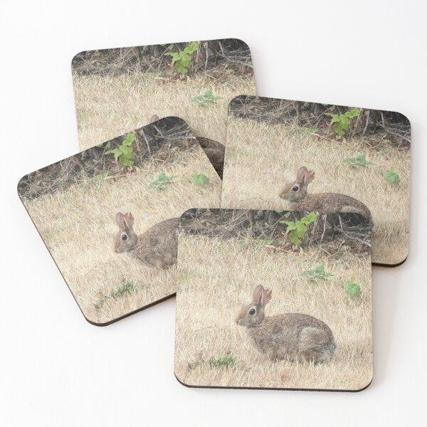 Item preview, The Prince of Rabbits designed and sold by SeaGoatMedia.