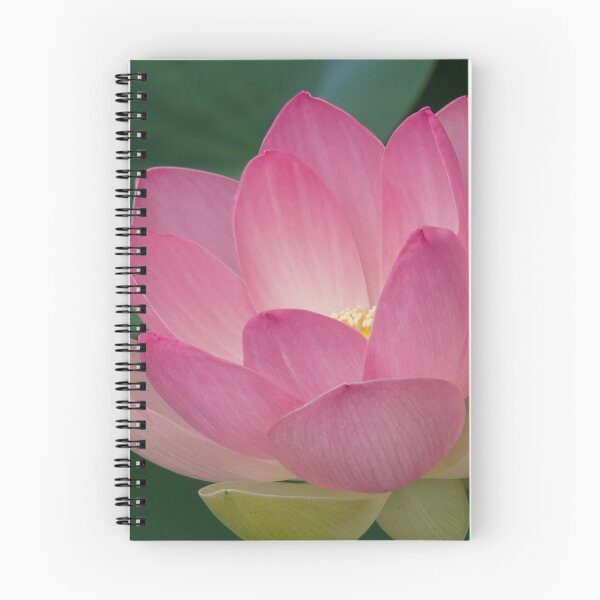 Item preview, Lotus Flower designed and sold by Lsteuart.
