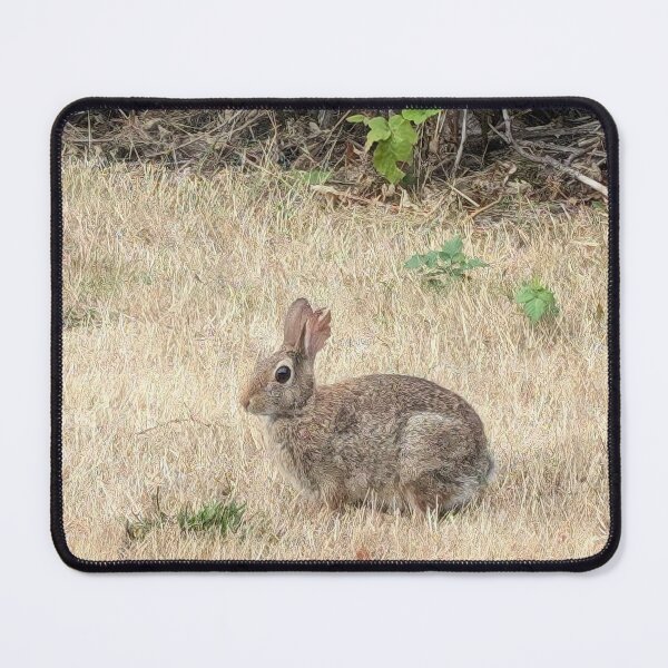 Item preview, The Prince of Rabbits designed and sold by SeaGoatMedia.