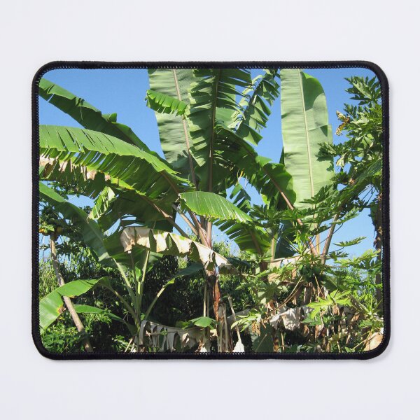 Item preview, Hawaii No 2 designed and sold by bloomingvine.