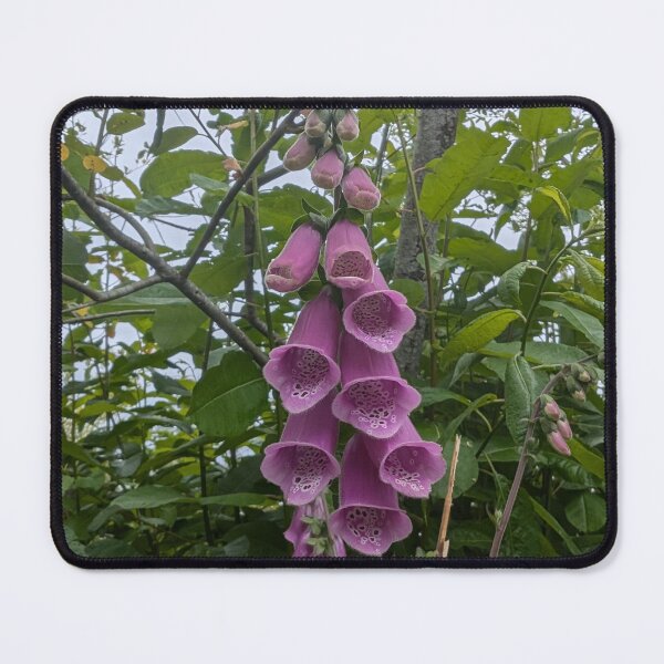 Item preview, Foxglove in Bloom designed and sold by SeaGoatMedia.