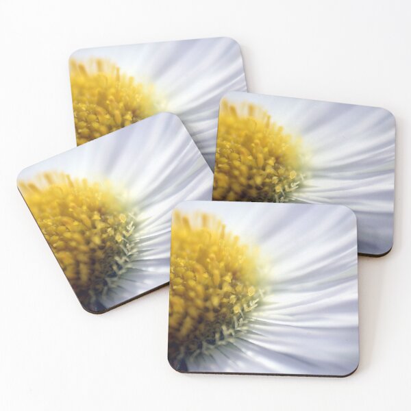 Item preview, Fleabane muy de cerca designed and sold by LittleStarCreat.