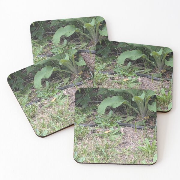 Item preview, Slither designed and sold by SeaGoatMedia.