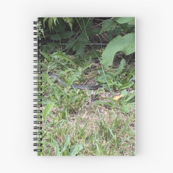 Item preview, Slither designed and sold by SeaGoatMedia.