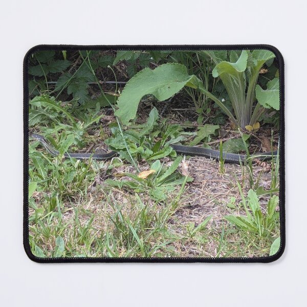 Item preview, Slither designed and sold by SeaGoatMedia.