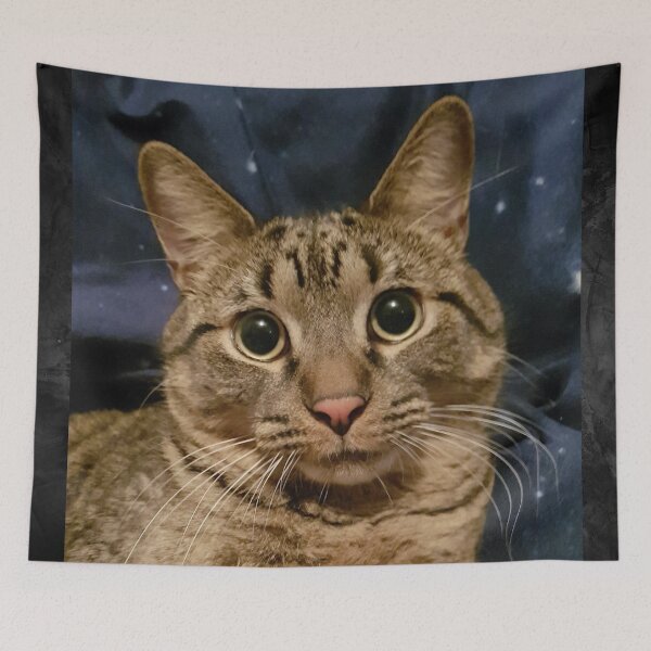Item preview, Tabby Kitten with Bright Eyes designed and sold by WhiteSoftPetals.
