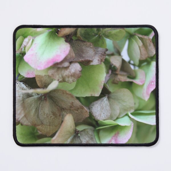 Item preview, Hydrangea  designed and sold by ljdewet.