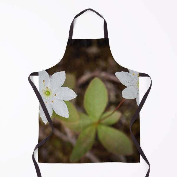 Item preview, Twins. Arctic starflower designed and sold by Jouko Lehto Photography.