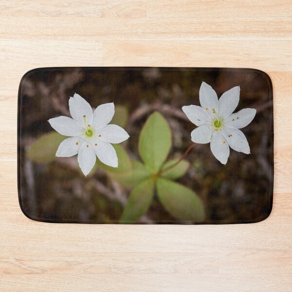 Item preview, Twins. Arctic starflower designed and sold by Jouko Lehto Photography.