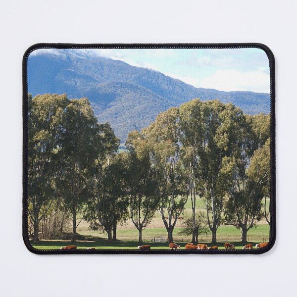 Item preview, Cows Eucalyptus Trees And A Mountain designed and sold by Joy Watson - Natural Light Photography .