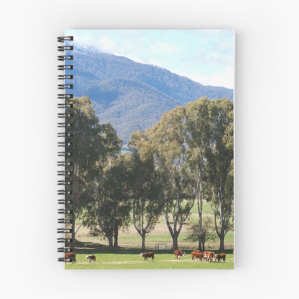Item preview, Cows Eucalyptus Trees And A Mountain designed and sold by Joy Watson - Natural Light Photography .