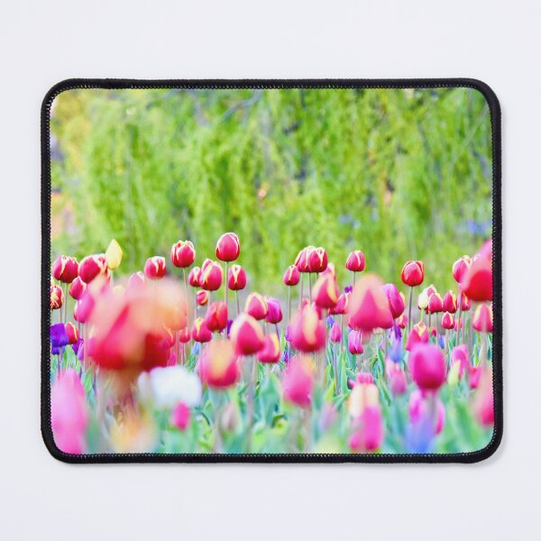 Item preview, Tulip garden at Floriade Canberra designed and sold by cbrpix.