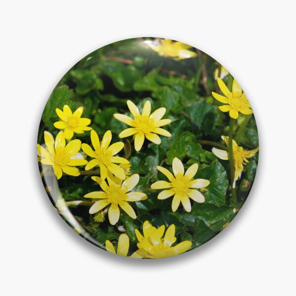 Item preview, Lesser Celandine - Ficaria verna designed and sold by Dorset Girl.