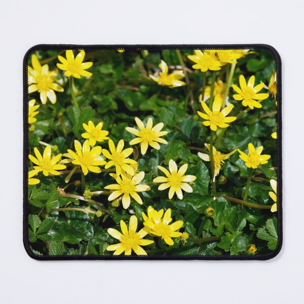 Item preview, Lesser Celandine - Ficaria verna designed and sold by Dorset Girl.