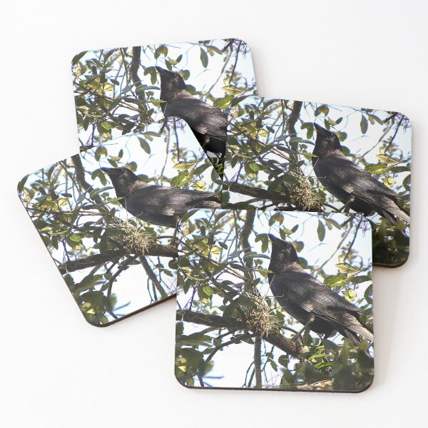 Item preview, American Crow designed and sold by MercerImages.