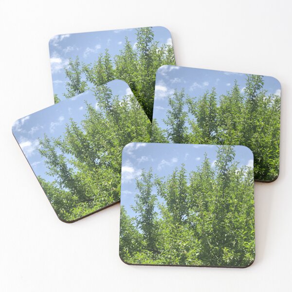 Item preview, Freshly blossomed apple branches next to mesmerising sky designed and sold by VillainSpot.