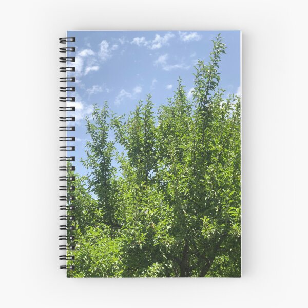 Item preview, Freshly blossomed apple branches next to mesmerising sky designed and sold by VillainSpot.