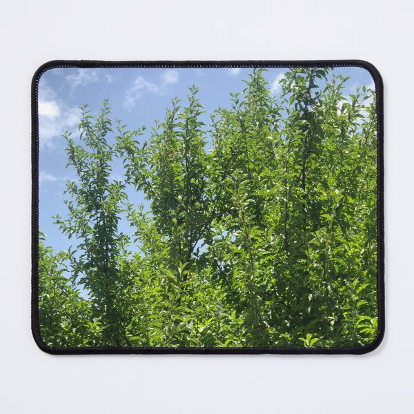 Item preview, Freshly blossomed apple branches next to mesmerising sky designed and sold by VillainSpot.