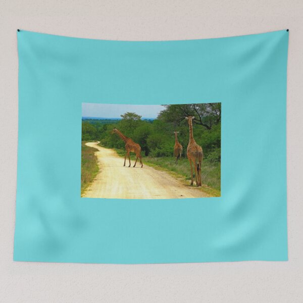 Item preview, Giraffes, Kruger National Park, South Africa designed and sold by vadim19.