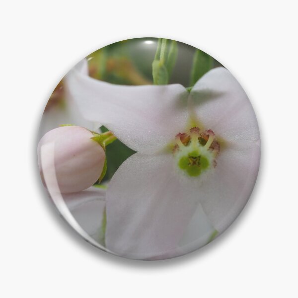 Item preview, Australian native flower Boronia Floribunda designed and sold by numberchic.