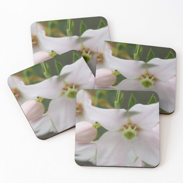 Item preview, Australian native flower Boronia Floribunda designed and sold by numberchic.