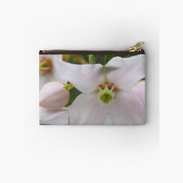 Item preview, Australian native flower Boronia Floribunda designed and sold by numberchic.