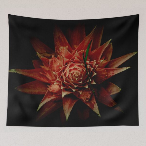 Item preview, bromelia designed and sold by CHBPhotography.