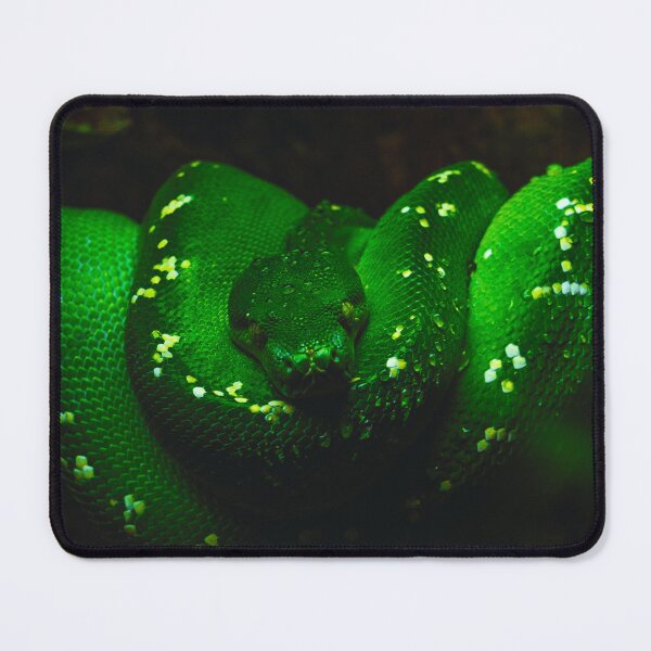 Item preview, Emerald Tree Boa Snake designed and sold by CHBPhotography.