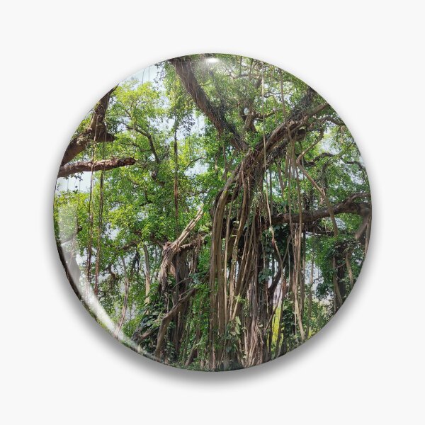 Item preview, Banyan Tree designed and sold by Bubble-Burst.